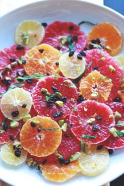 Winter Citrus Salad | Perpetually Chic