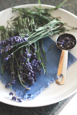 lavender-syrup-1